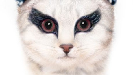 Мимимишное кино коты постеры