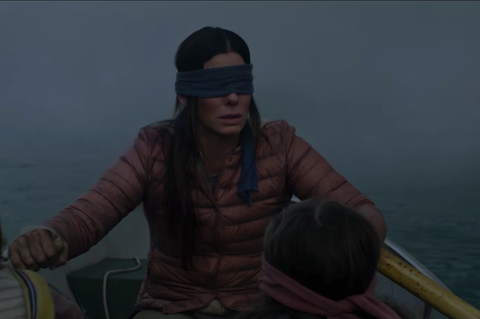 Птичий короб bird box 2018