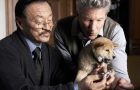 10 лучших фильмов про собак