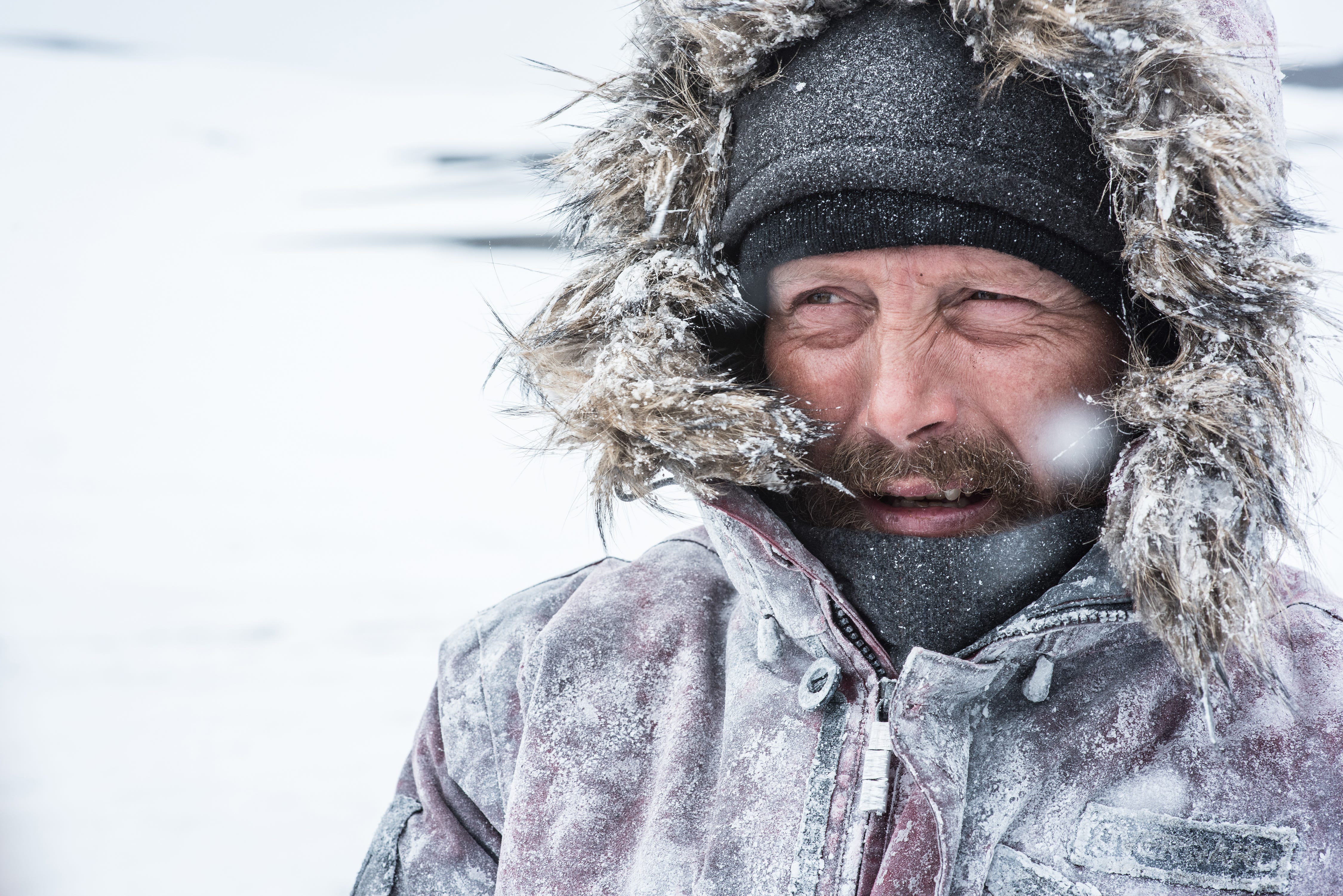Затерянные во льдах (Arctic, 2018