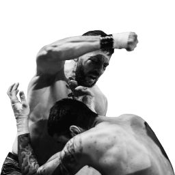 MMA mixed martial arts