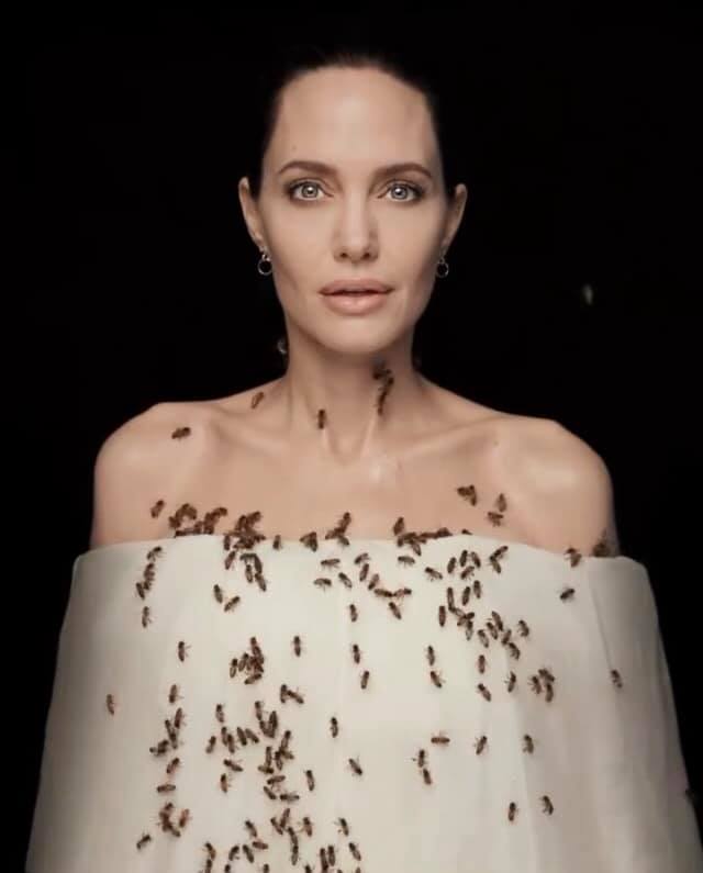 найкрасивіші фото акторки анджеліни джолі