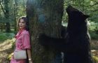 «Ведмідь під кайфом» зібрав більше, ніж очікувалося, і може отримати сиквел
