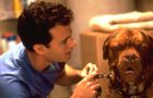 7 найкращих фільмів про собак