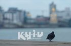“Київські стихії”: в столиці знімуть документальний серіал про події з історії міста