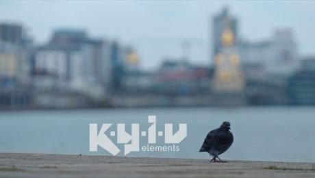 Kyiv elements. Київські стихії