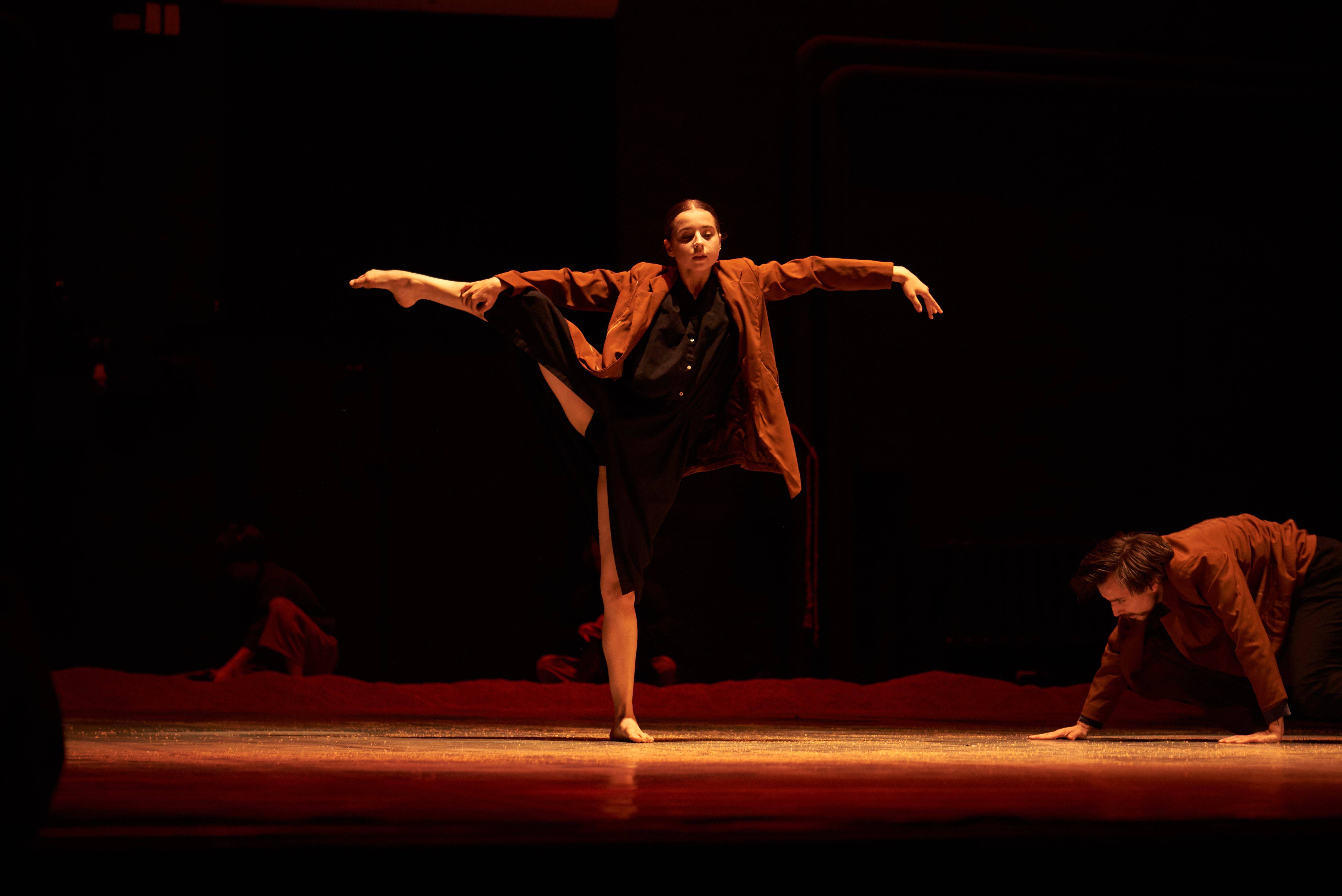 сучасний балет «Д.І.М.»