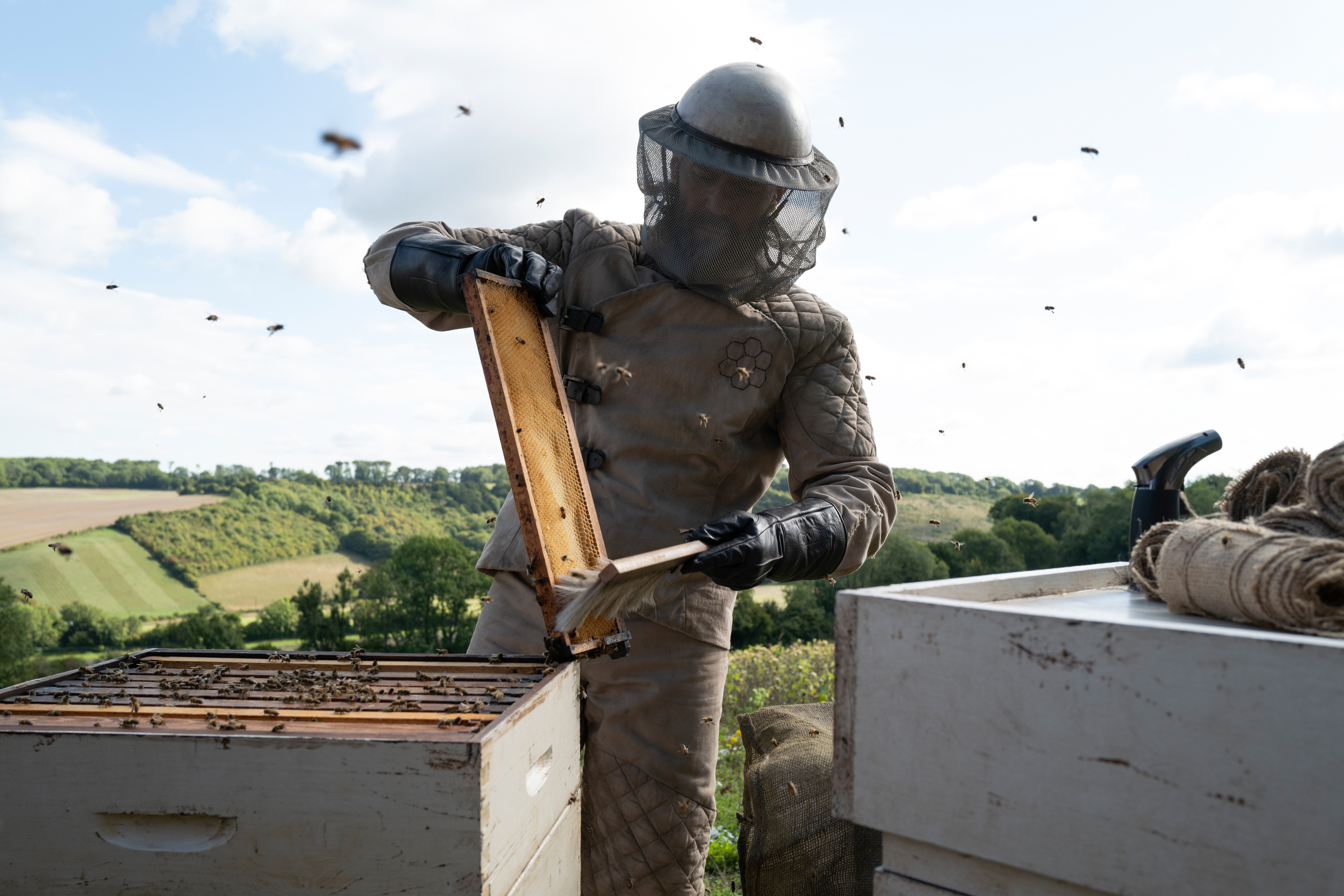 «Бджоляр» (The Beekeeper)