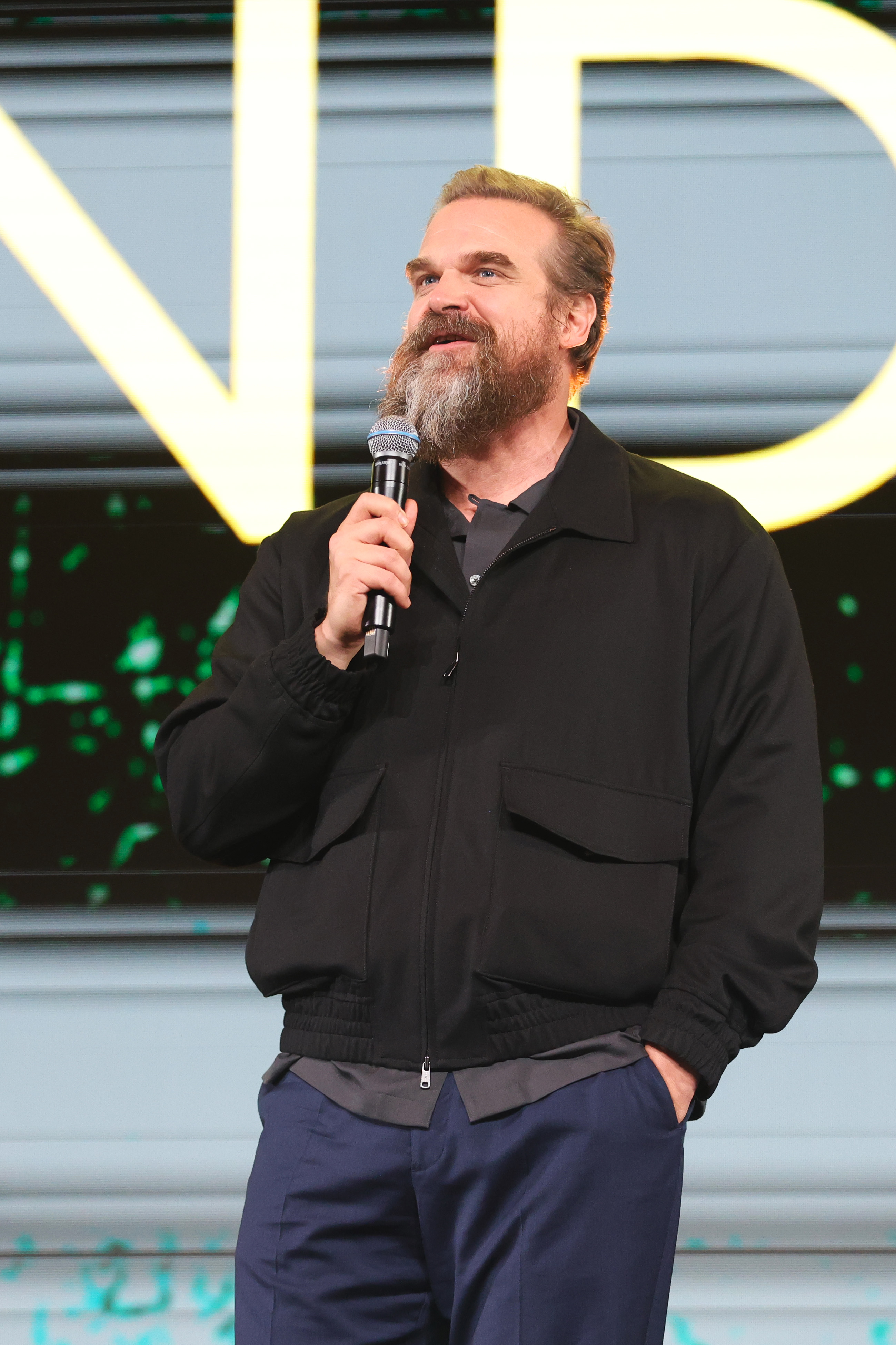 D23 Девід Гарбор David Harbour