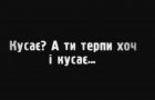 Фінал судового серіалу. Рішення Касаційного господарського суду