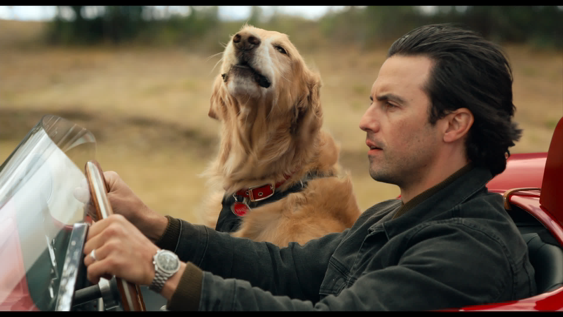 Очима собаки (The Art of Racing in the Rain) 2019