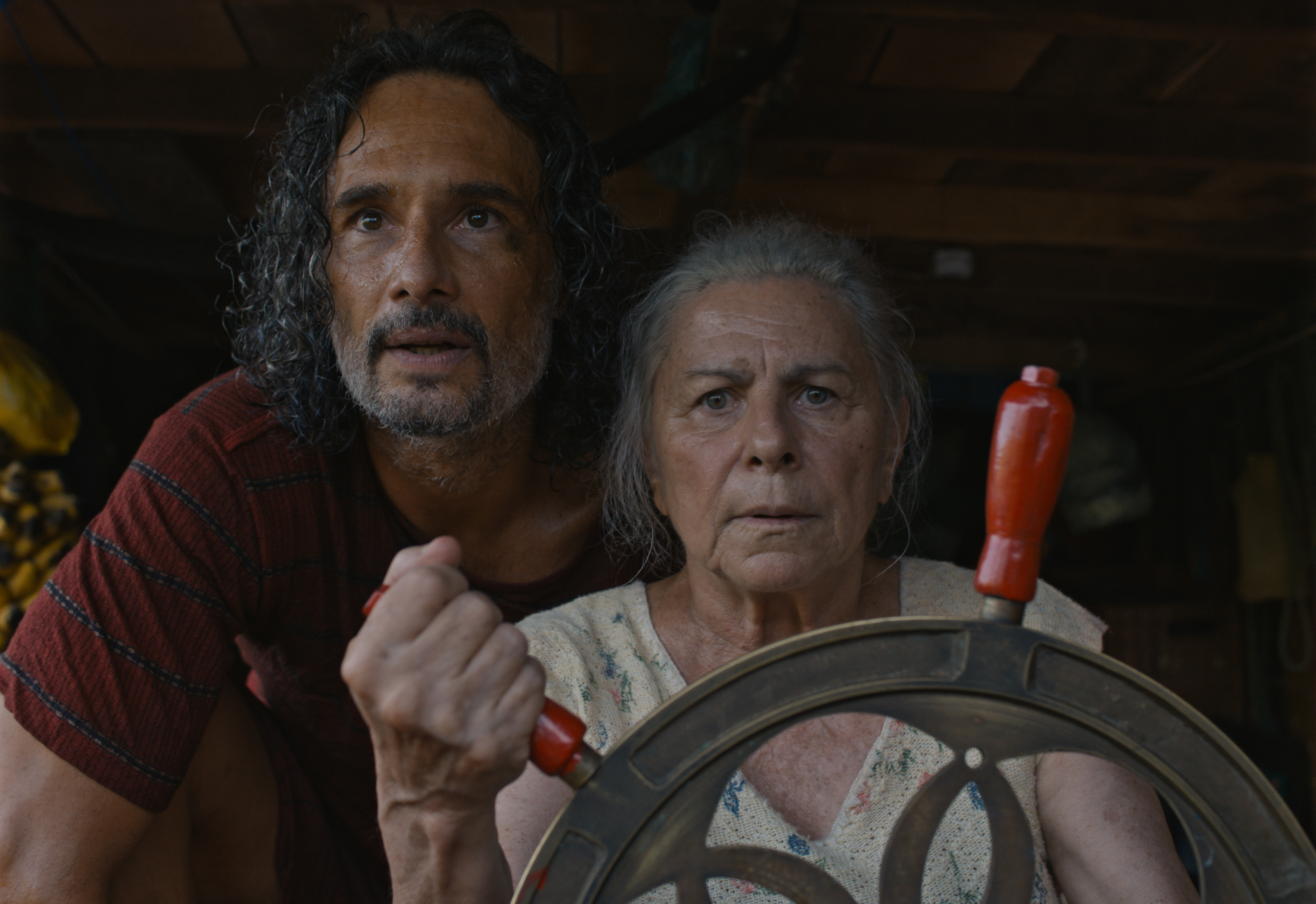 Блакитна стежка THE BLUE TRAIL 