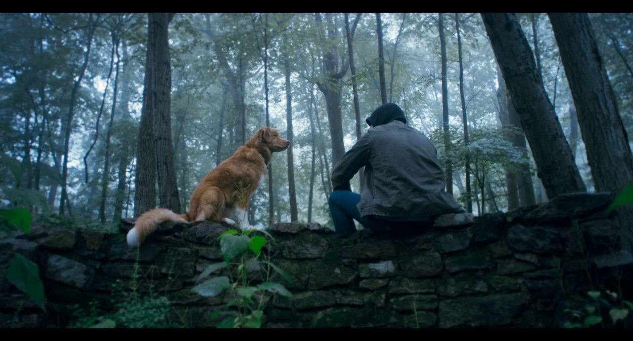 Хороший хлопчик Good Boy 