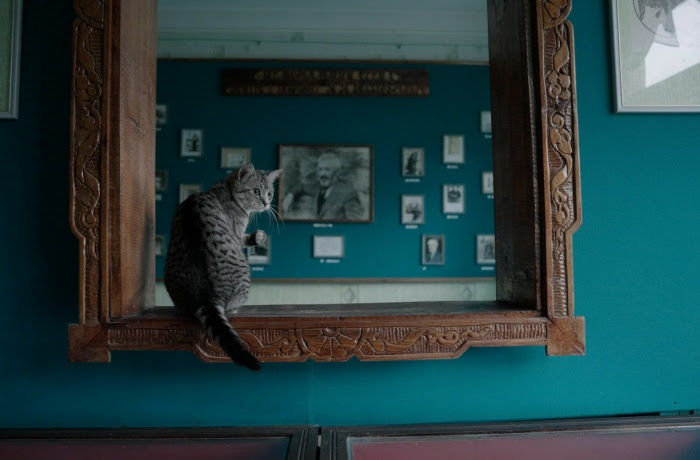 Кадр з фільму «Птахи і звірі. Всесвіт Гніздовського»