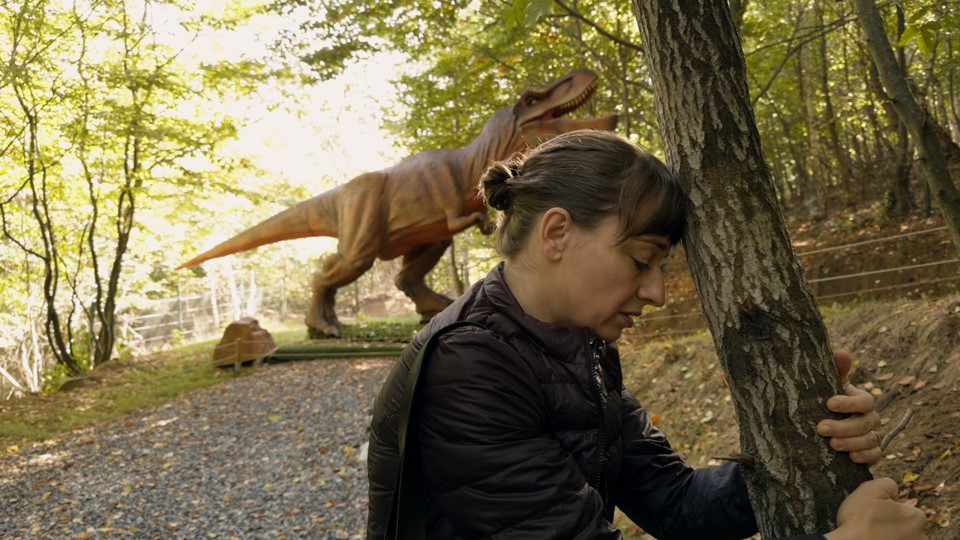 Континенталь ’25 (Kontinental ’25)