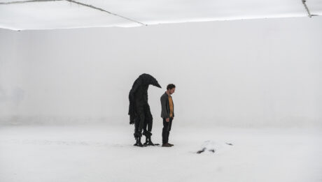 «Чорне пір’я» (The Thing with Feathers)