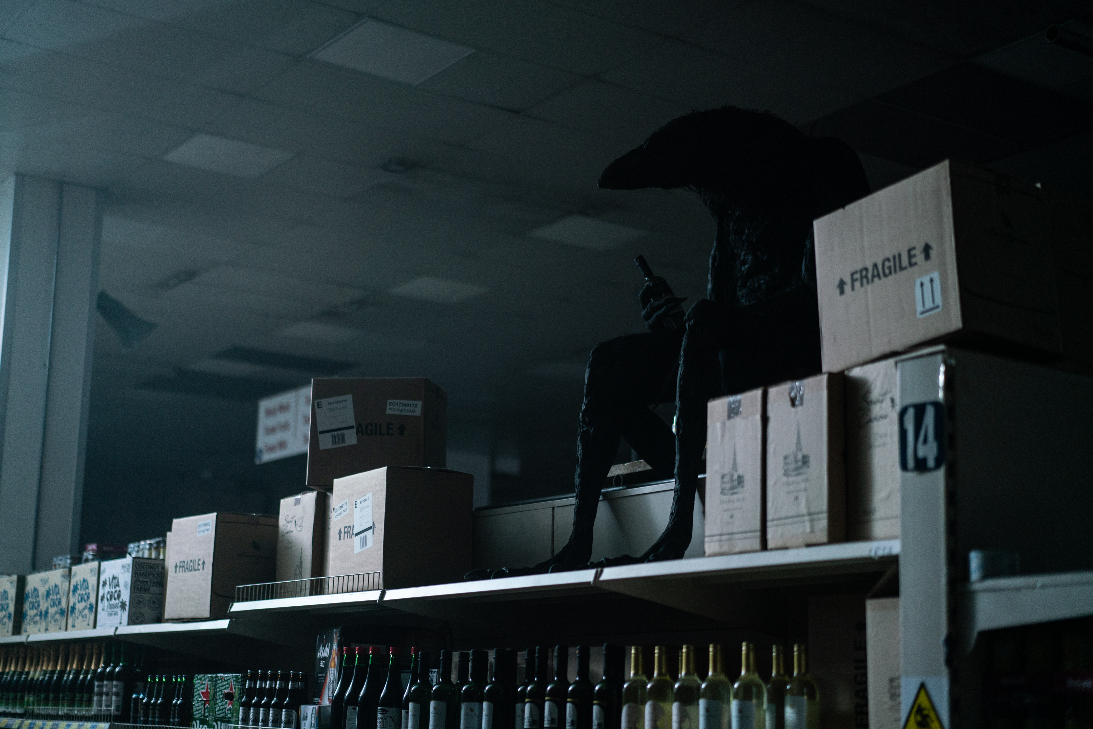 «Чорне пір’я» (The Thing with Feathers)