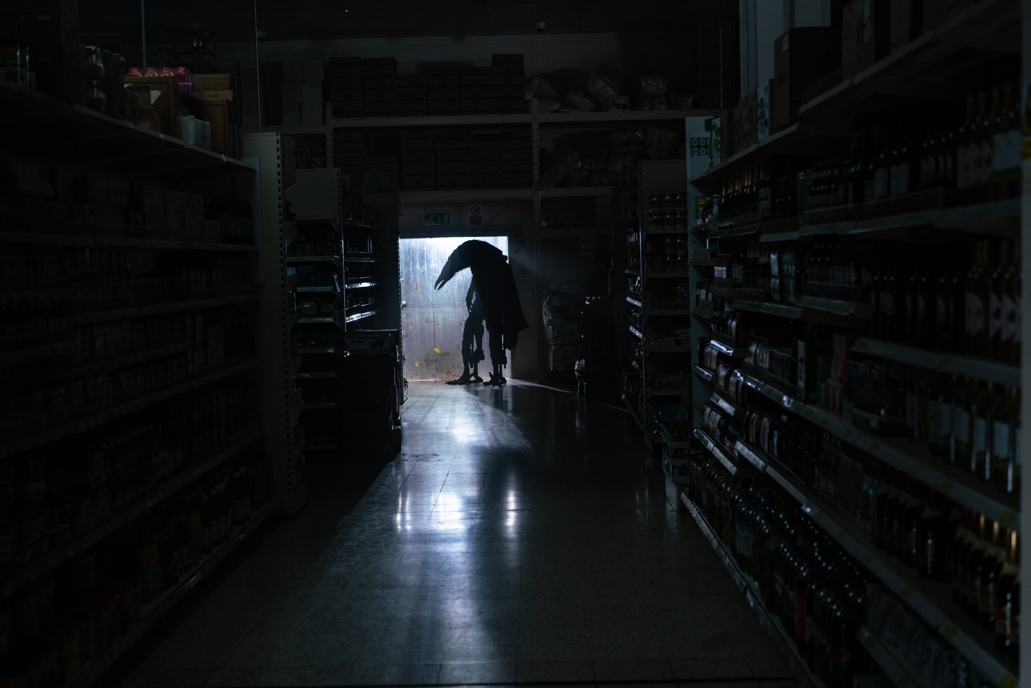 «Чорне пір’я» (The Thing with Feathers)