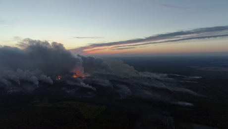 «Дівія» українського режисера Дмитра Грешка