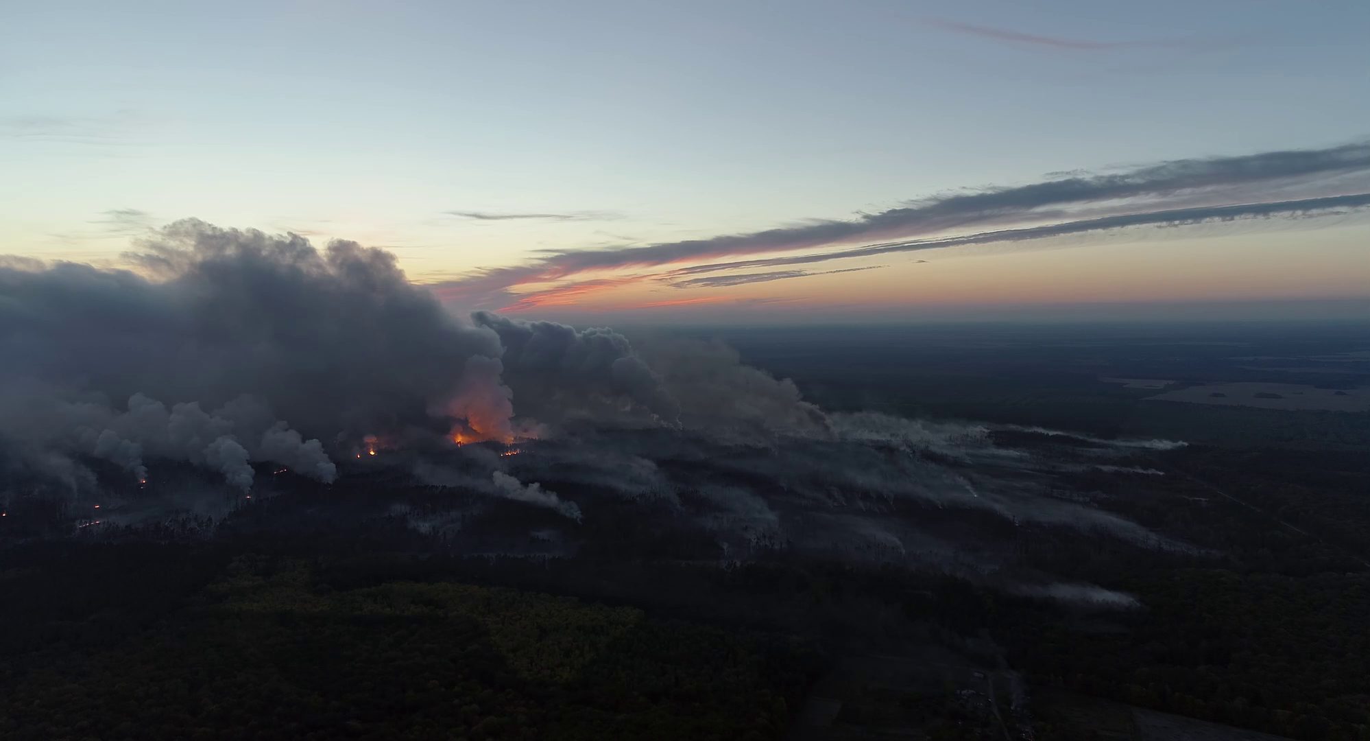 «Дівія» українського режисера Дмитра Грешка