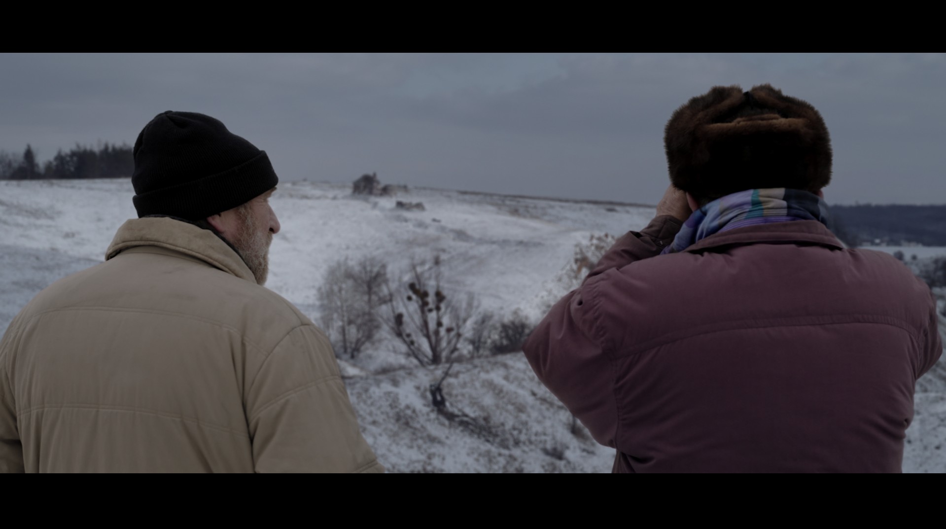 «Сірі бджоли» (Grey Bees) 