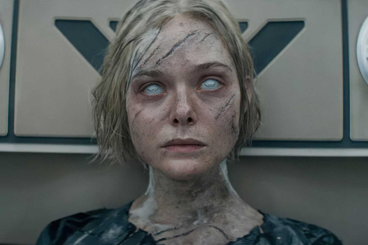 хижак дикі землі 