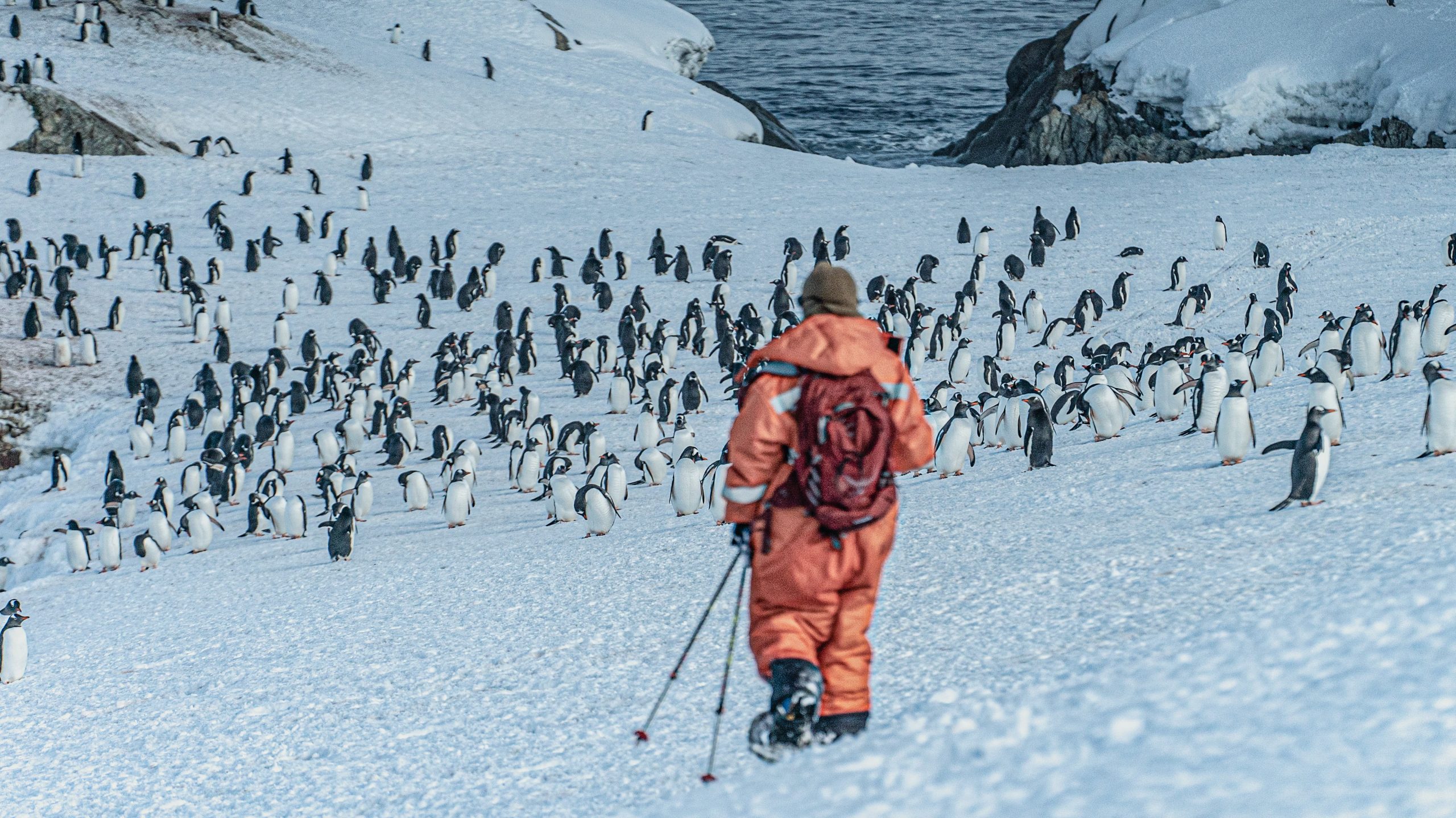 «Антарктида: Щоденники війни» (Antarctica: War Diaries)