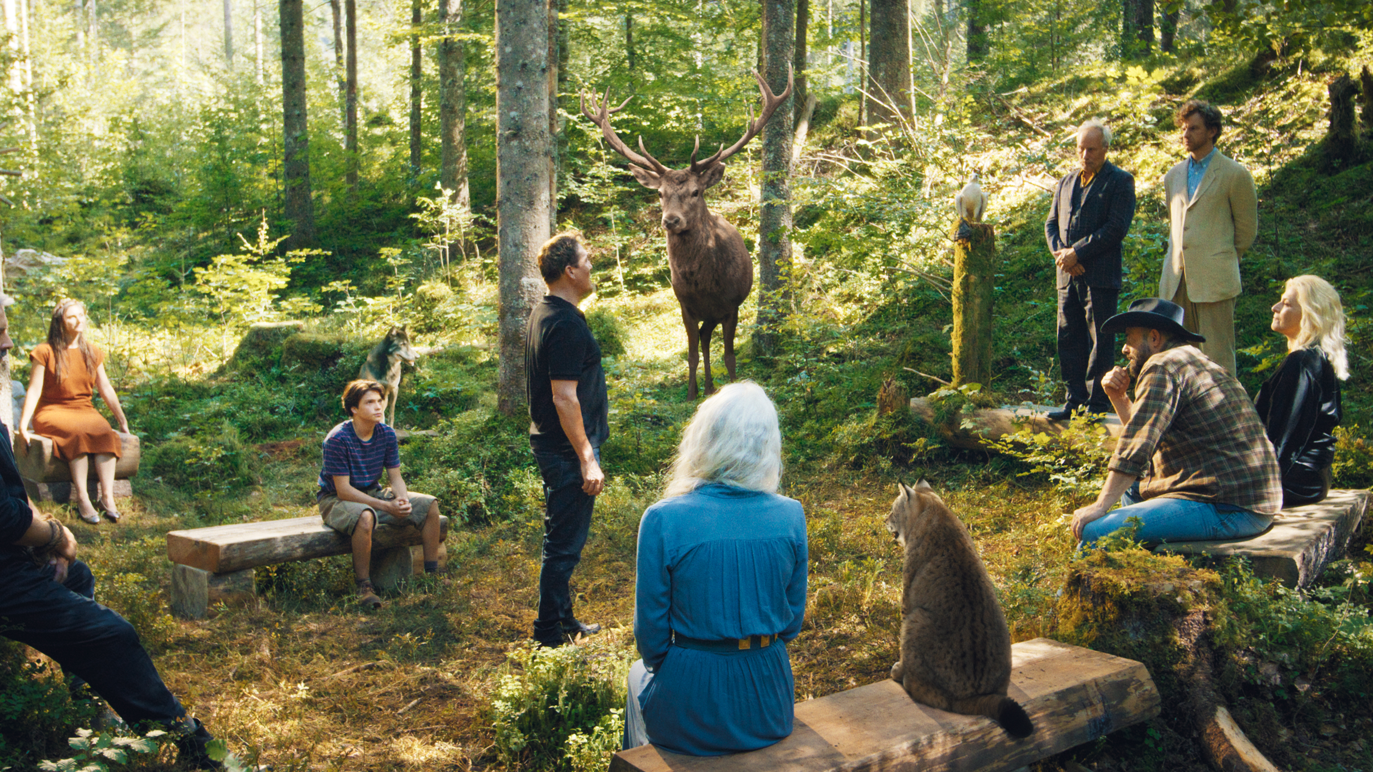 Хранителі лісу 2 Woodwalkers 2