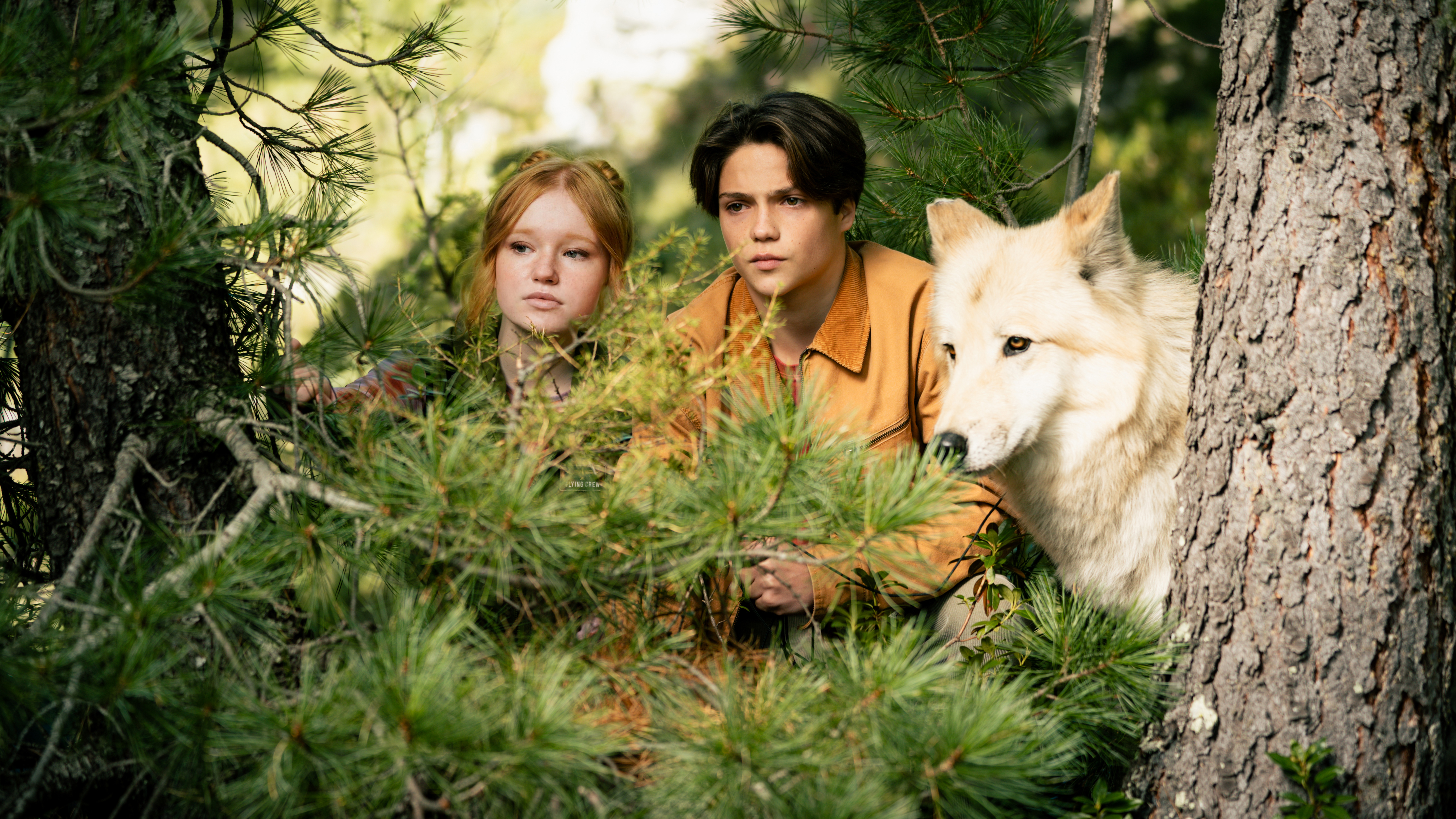 Хранителі лісу 2 Woodwalkers 2