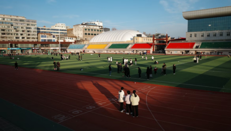 ШІ в спортивних академіях: новий етап підготовки