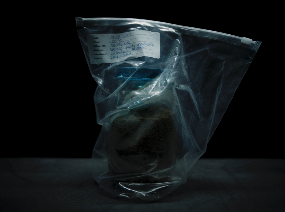 «Земля» Лади Копитової 