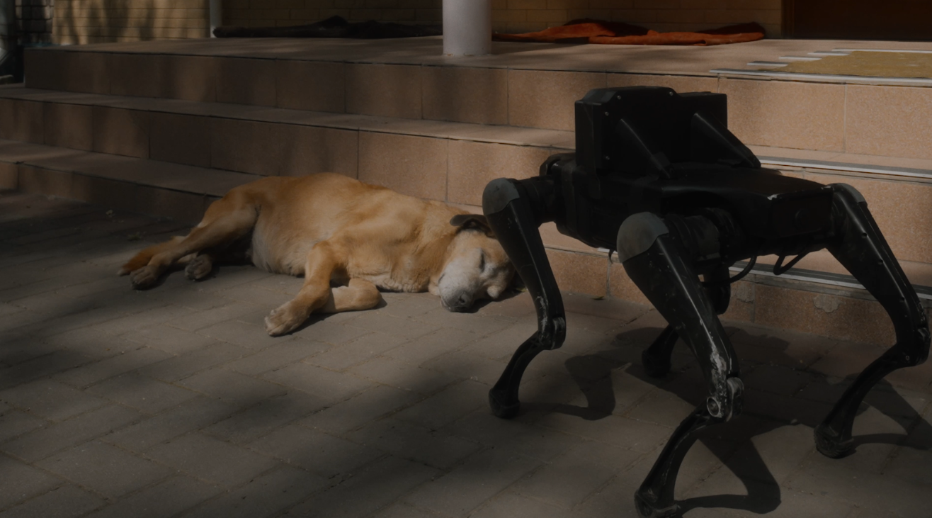 короткометражний документальний фільм «Відкритий світ» Романа Хімея та Яреми Малащука