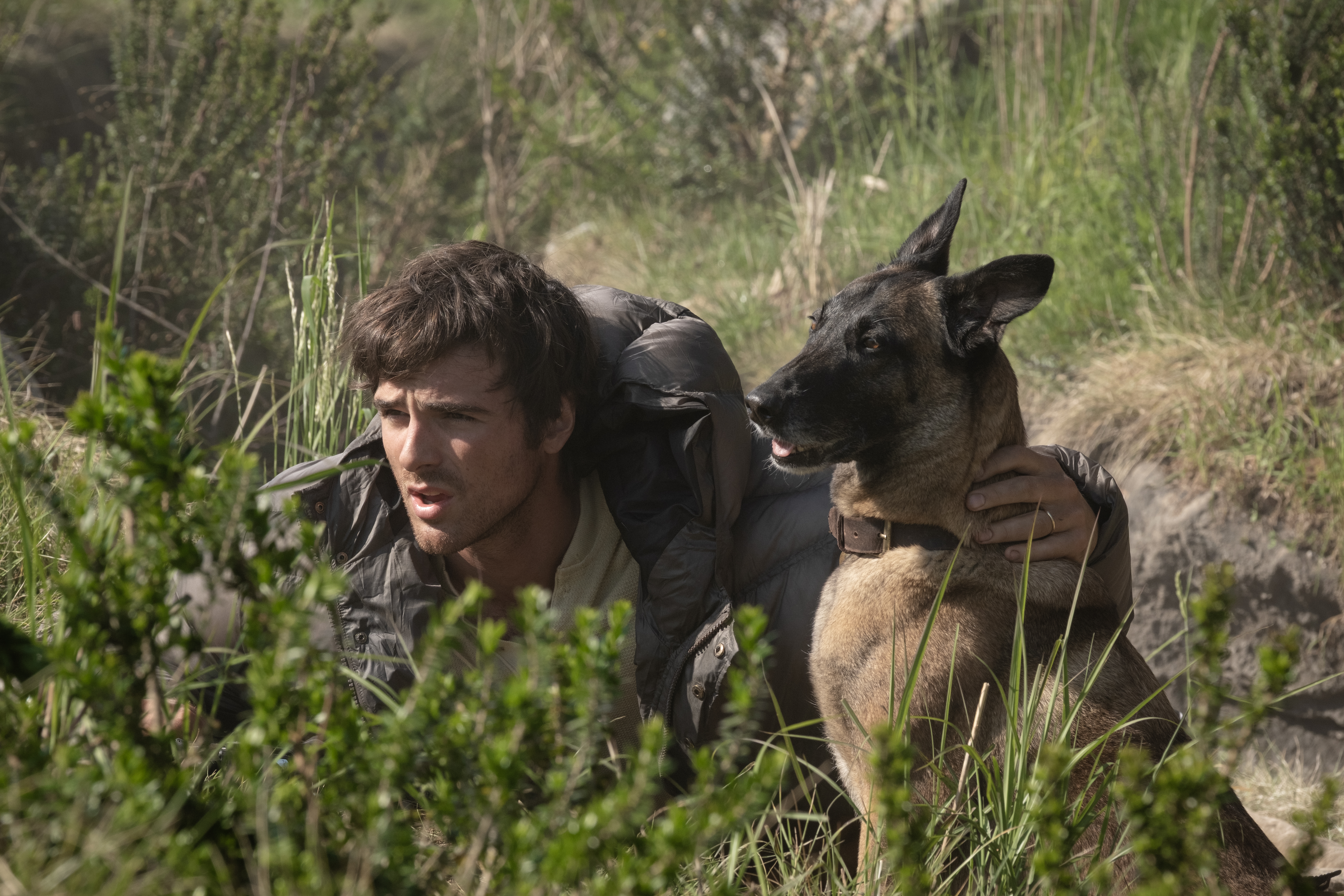 «Сузір’я великого пса» (The Dog Stars) 2026